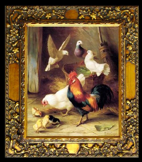 framed  unknow artist Poultry 131, Ta068